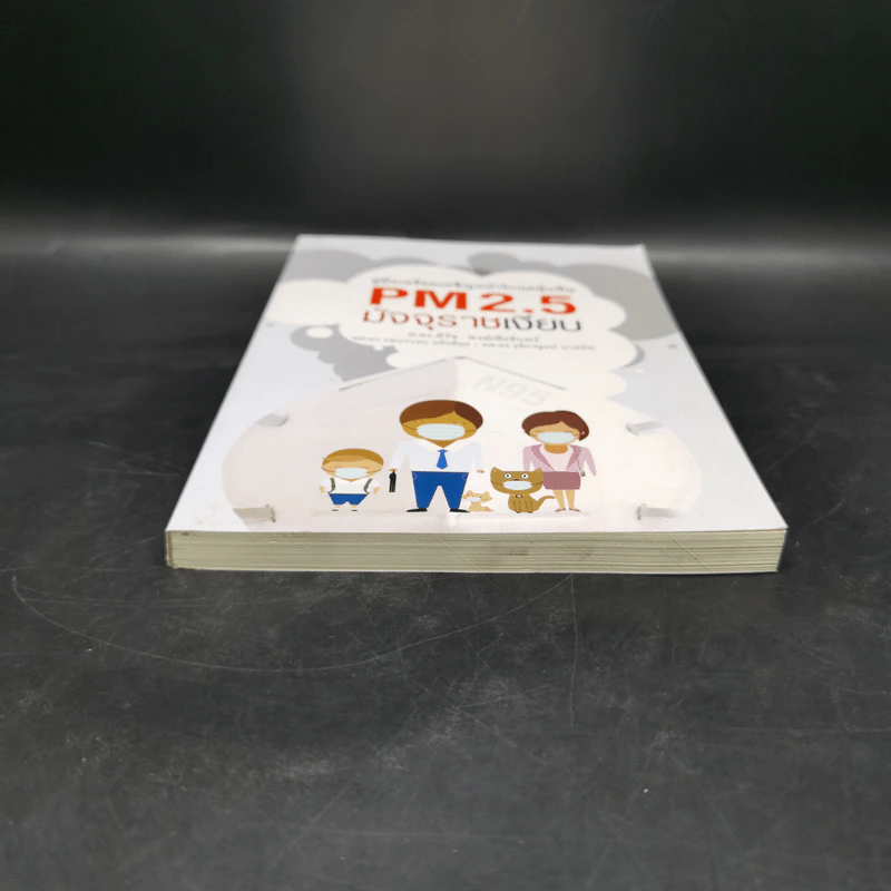 คู่มือเตรียมเผชิญหน้าวิกฤตฝุ่นพิษ PM2.5 มัจจุราชเงียบ รูปที่ 4
