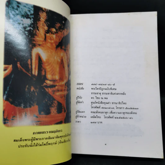 ธรรมธาตุ ธรรมชาติแห่งสรรพสิ่ง - ดร.ไชย ณ พล รูปที่ 8