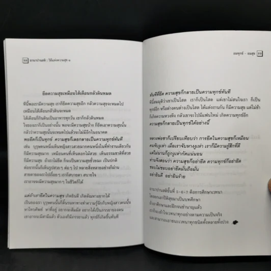 อานาปานสติ : วิถีแห่งความสุข 1 ชีวิตทั้งหมดให้อยู่ด้วยอานาปานสติ - พระอาจารย์มิตซูโอะ คเวสโก รูปที่ 11
