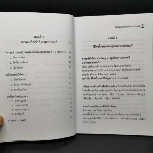 อานาปานสติ : วิถีแห่งความสุข 1 ชีวิตทั้งหมดให้อยู่ด้วยอานาปานสติ - พระอาจารย์มิตซูโอะ คเวสโก รูปที่ 10