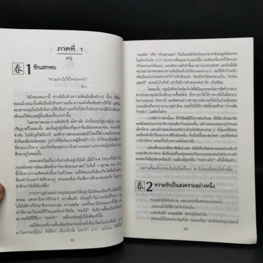 ความรักกับจอมยุทธ์ - สุวินัย ภรณวลัย รูปที่ 10