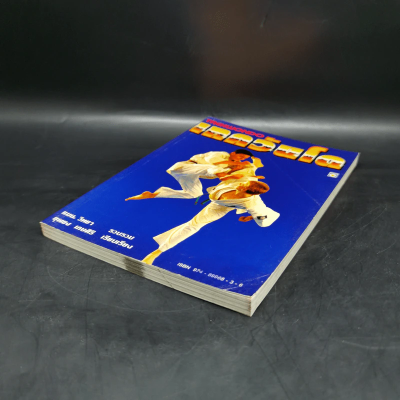 เทควันโด Taekwondo - แมน วิทยา, ยุพยง เกษศิริ รูปที่ 7