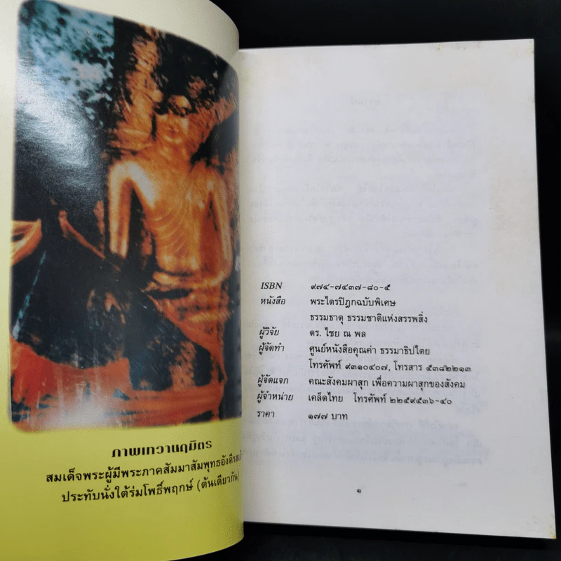 ธรรมธาตุ ธรรมชาติแห่งสรรพสิ่ง - ดร.ไชย ณ พล รูปที่ 8