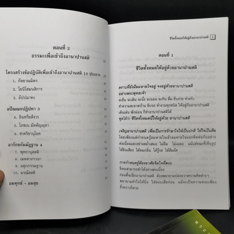 อานาปานสติ : วิถีแห่งความสุข 1-3 - พระอาจารย์มิตซูโอะ คเวสโก รูปที่ 8