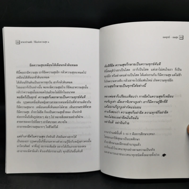 อานาปานสติ : วิถีแห่งความสุข 1 ชีวิตทั้งหมดให้อยู่ด้วยอานาปานสติ - พระอาจารย์มิตซูโอะ คเวสโก รูปที่ 11