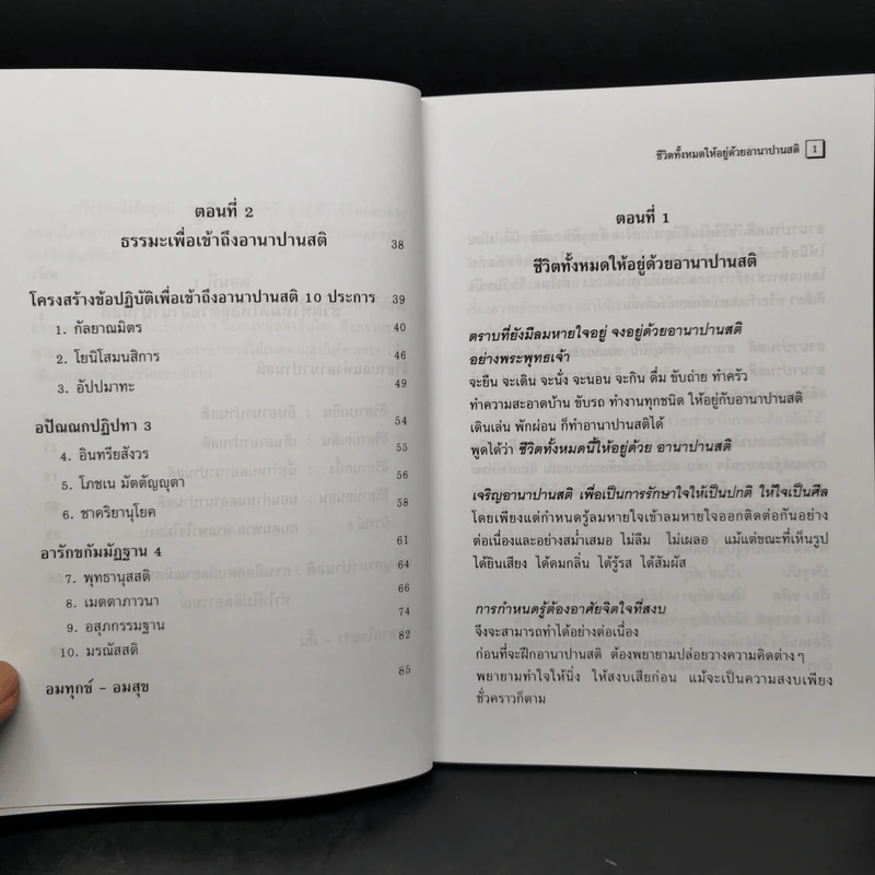 อานาปานสติ : วิถีแห่งความสุข 1 ชีวิตทั้งหมดให้อยู่ด้วยอานาปานสติ - พระอาจารย์มิตซูโอะ คเวสโก รูปที่ 10