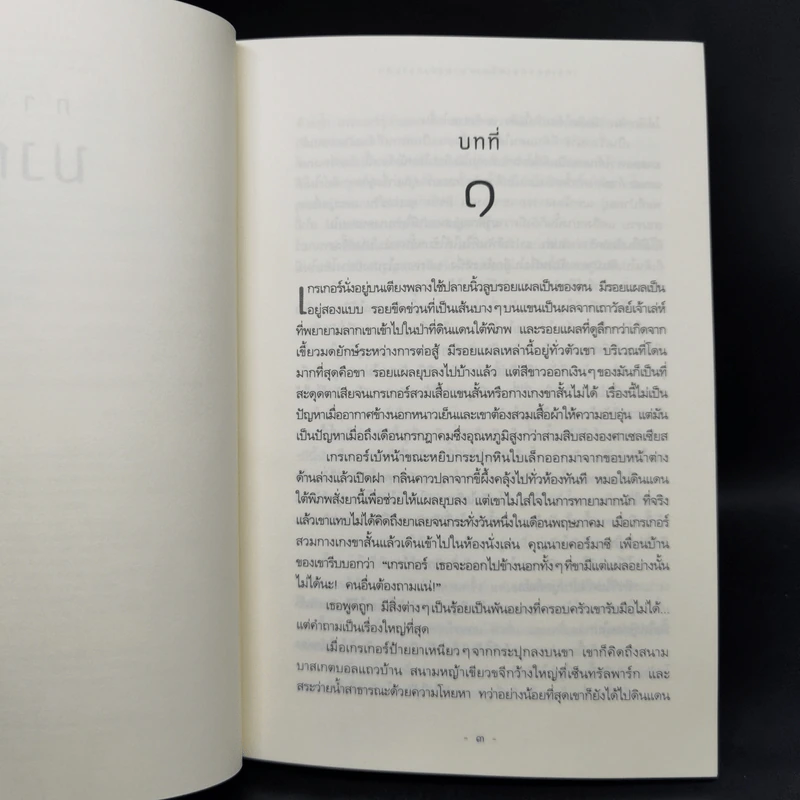 ชุด เกรเกอร์กับดินแดนใต้พิภพ The Underland Chronicles Series 5 เล่ม - ซูซาน คอลลินส์ รูปที่ 9