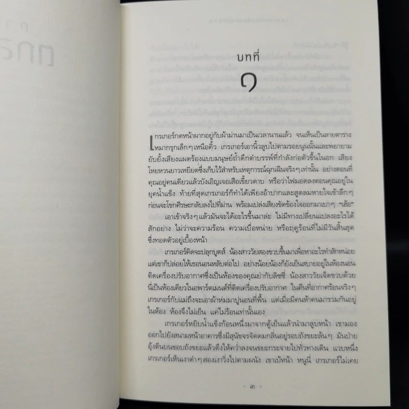 ชุด เกรเกอร์กับดินแดนใต้พิภพ The Underland Chronicles Series 5 เล่ม - ซูซาน คอลลินส์ รูปที่ 15