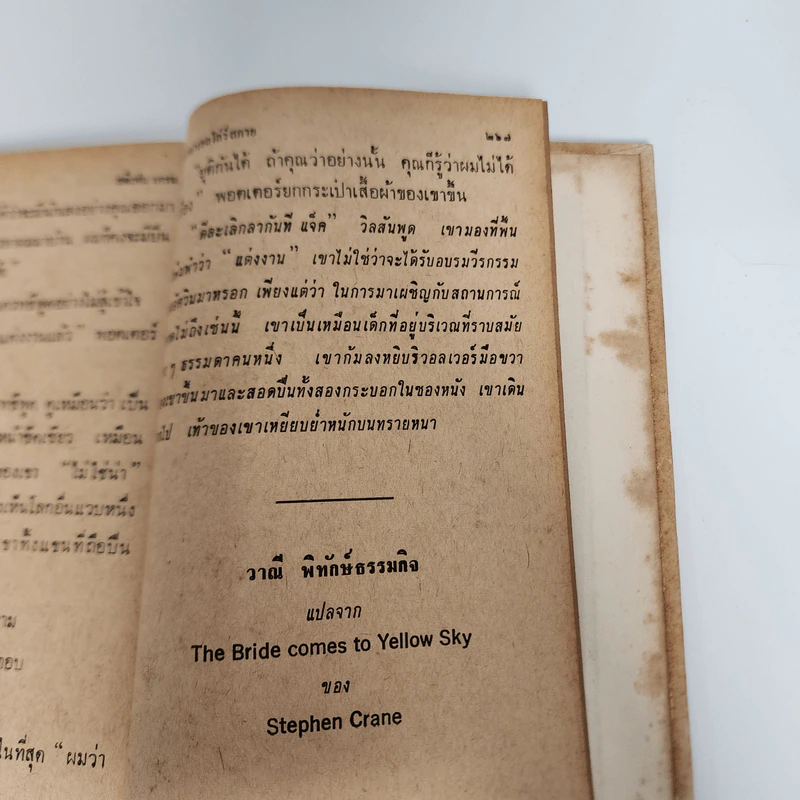 ชีวิตนิรันดร์ และเรื่องสั้นสรรแล้ว รูปที่ 13