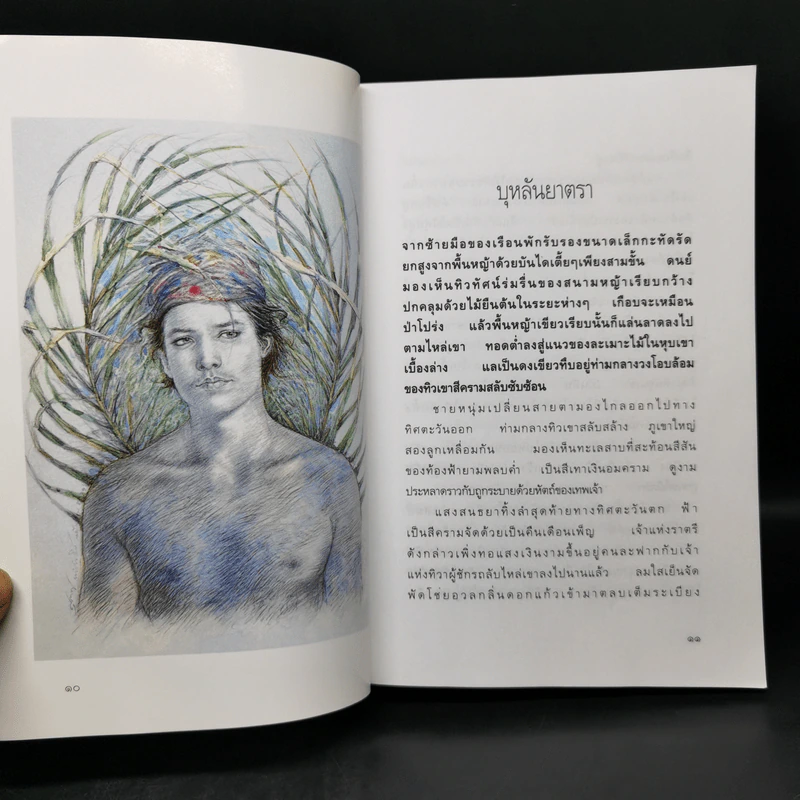 ดอกแก้วการะบุหนิง - แก้วเก้า รูปที่ 9