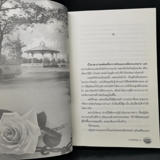 สาวหลงยุค - พงศกร รูปที่ 9