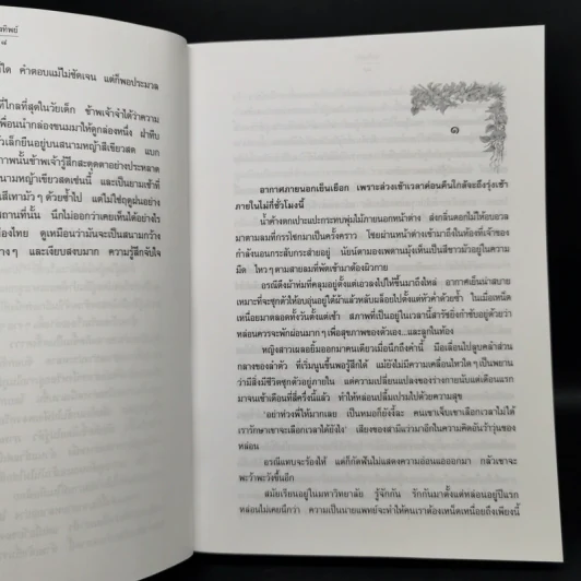 นางทิพย์ - แก้วเก้า รูปที่ 9