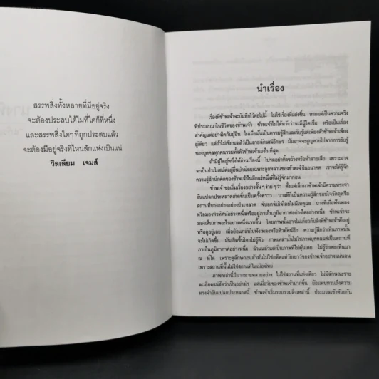 นางทิพย์ - แก้วเก้า รูปที่ 8