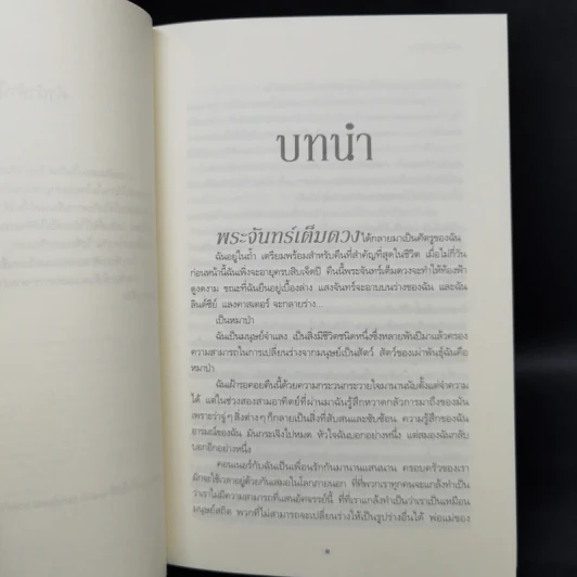 ชุด ผู้พิทักษ์รัตติกาล 4 เล่ม ลำนำจันทรา+มายาจันทรา+เงาจันทรา+จันทรานิมิต รูปที่ 12