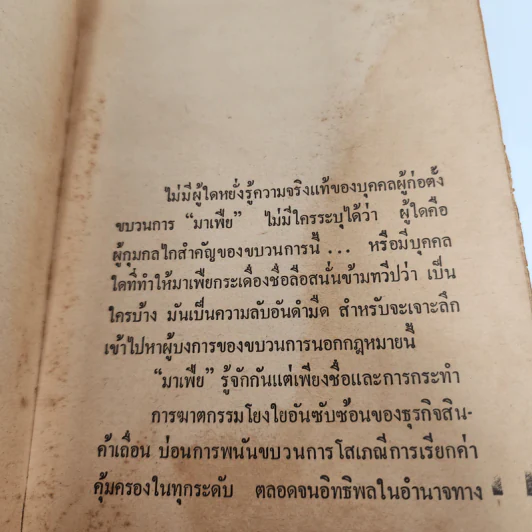 มาเฟีย - รัมม์ นที รูปที่ 10