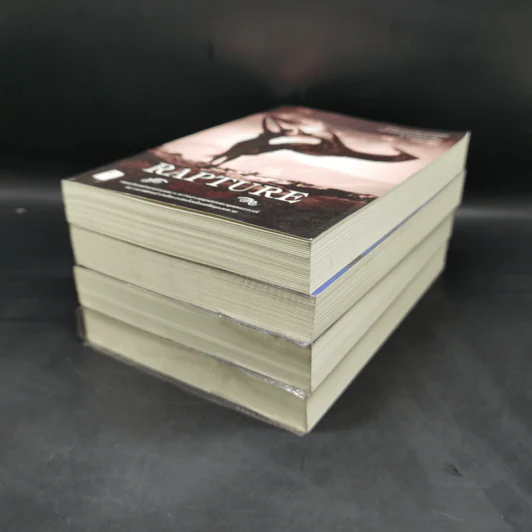 ชุด เทวทัณฑ์ 4 เล่ม เทวทัณฑ์+ทรทัณฑ์+ทิพยทัณฑ์+ทุรทัณฑ์ รูปที่ 6