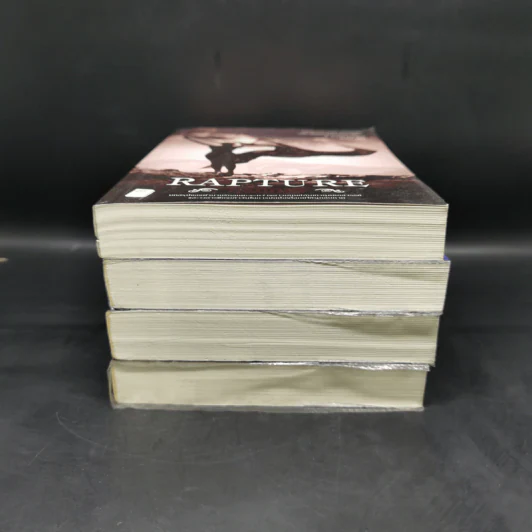 ชุด เทวทัณฑ์ 4 เล่ม เทวทัณฑ์+ทรทัณฑ์+ทิพยทัณฑ์+ทุรทัณฑ์ รูปที่ 3