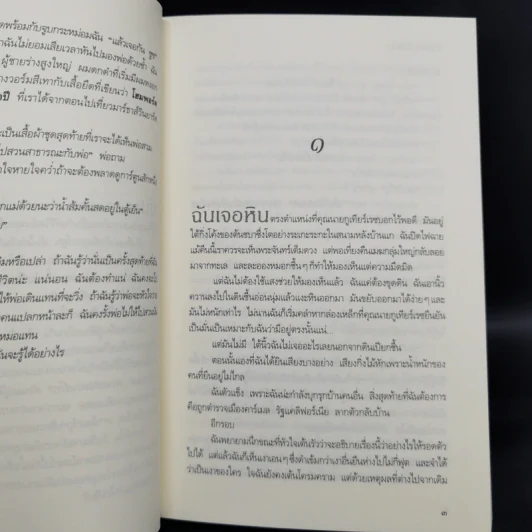 ชุด เดอะเมดิเอเตอร์ The Mediator 6 เล่มจบ - Meg Cabot (เม็ก คาบอท) รูปที่ 24