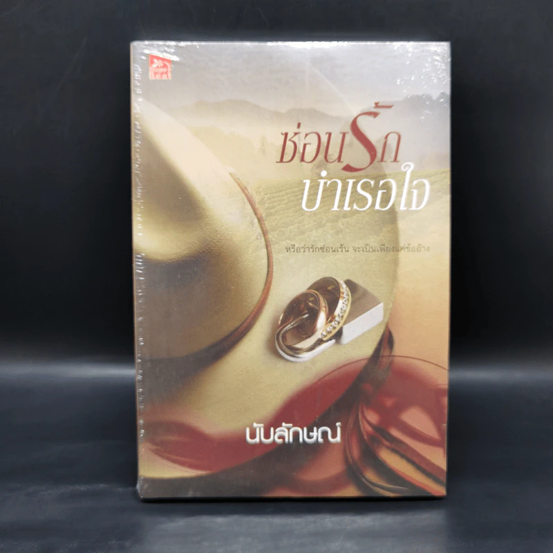 ซ่อนรักบำเรอใจ - นับลักษณ์ รูปที่ 1