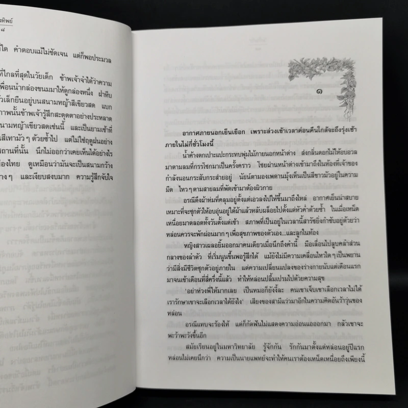 นางทิพย์ - แก้วเก้า รูปที่ 9