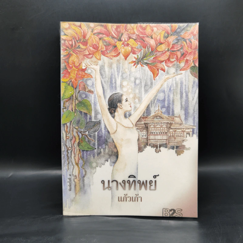 นางทิพย์ - แก้วเก้า รูปที่ 1