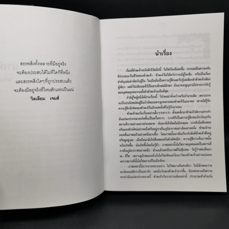 นางทิพย์ - แก้วเก้า รูปที่ 8