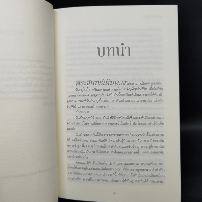 ชุด ผู้พิทักษ์รัตติกาล 4 เล่ม ลำนำจันทรา+มายาจันทรา+เงาจันทรา+จันทรานิมิต รูปที่ 12