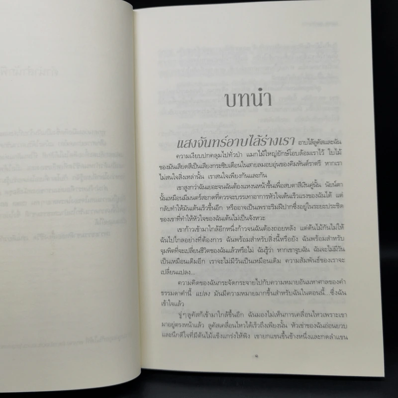 ชุด ผู้พิทักษ์รัตติกาล 4 เล่ม ลำนำจันทรา+มายาจันทรา+เงาจันทรา+จันทรานิมิต รูปที่ 9