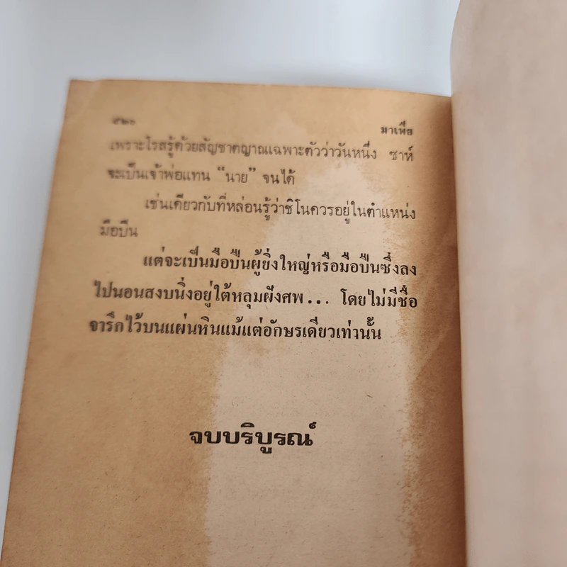 มาเฟีย - รัมม์ นที รูปที่ 11