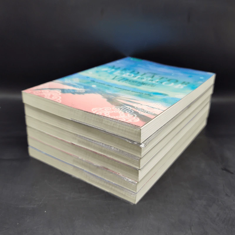 ชุด เดอะเมดิเอเตอร์ The Mediator 6 เล่มจบ - Meg Cabot (เม็ก คาบอท) รูปที่ 6