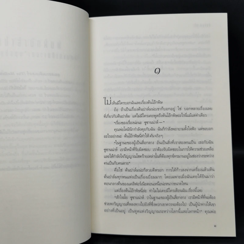 ชุด เดอะเมดิเอเตอร์ The Mediator 6 เล่มจบ - Meg Cabot (เม็ก คาบอท) รูปที่ 12