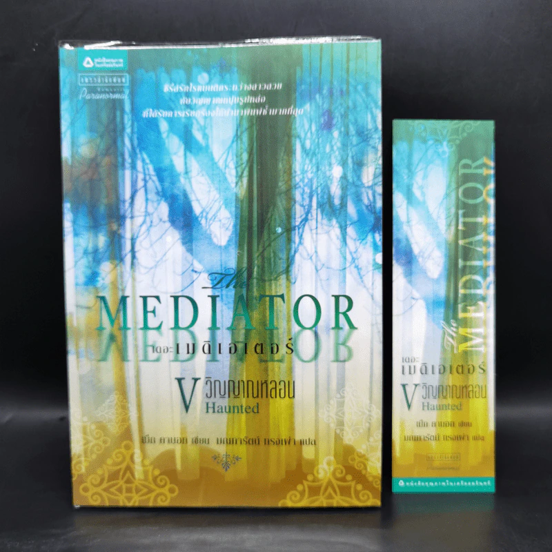 ชุด เดอะเมดิเอเตอร์ The Mediator 6 เล่มจบ - Meg Cabot (เม็ก คาบอท) รูปที่ 16
