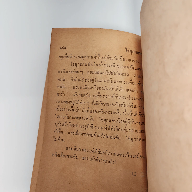 ไข่มุกมหาภัย The Pearl -John Steinbeck รูปที่ 9
