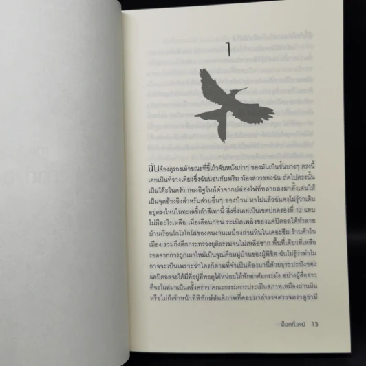 The Hunger Games เกมล่าชีวิต 3 เล่มจบ - Suzanne Collins (ซูซานน์ คอลลินส์) รูปที่ 9