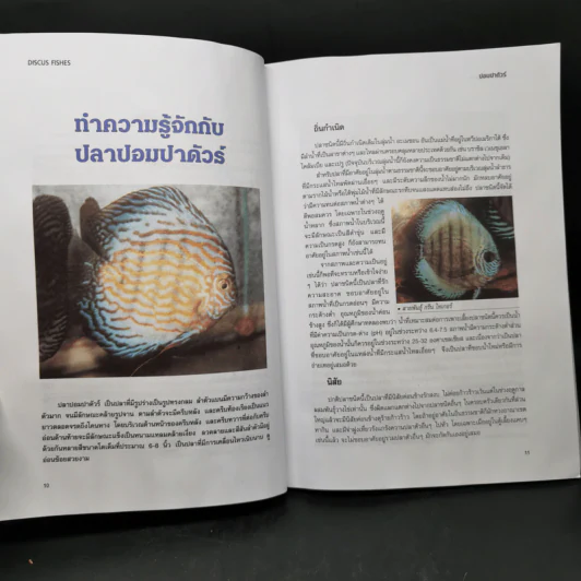 ปอมปาดัวร์ สายพันธุ์และการเพาะเลี้ยงปลาสวยงาม ฉบับสมบูรณ์ - กฤษณา แก้วชะอุ่ม, ภีระ ไกรแสงศรี รูปที่ 10