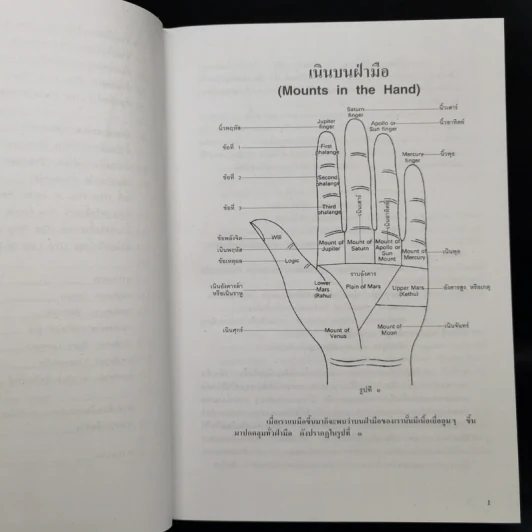 ลายมือ ลายแทงชีวิต - ดร.สุรพล ธีรรัตนพันธุ์ รูปที่ 11