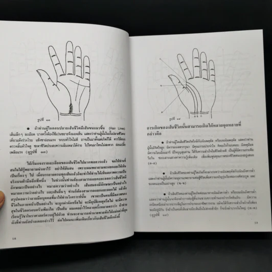 ลายมือ ลายแทงชีวิต - ดร.สุรพล ธีรรัตนพันธุ์ รูปที่ 13