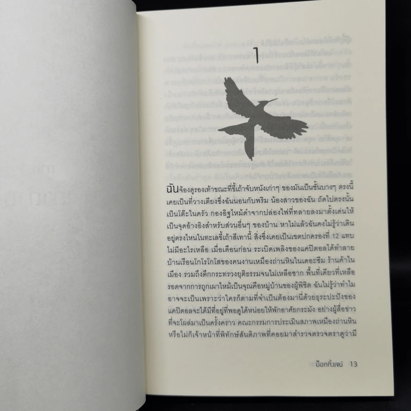 The Hunger Games เกมล่าชีวิต 3 เล่มจบ - Suzanne Collins (ซูซานน์ คอลลินส์) รูปที่ 9