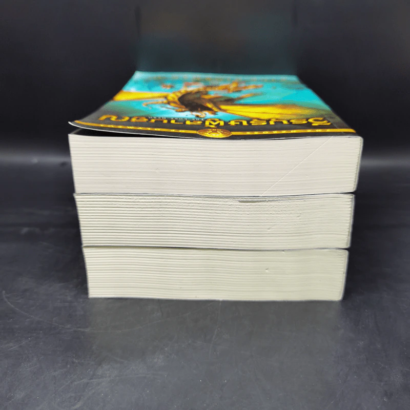 วีรบุรุษผู้สาบสูญ + บุตรแห่งสมุทรเทพ + รอยตราอาธีน่า - Rick Riordan รูปที่ 5