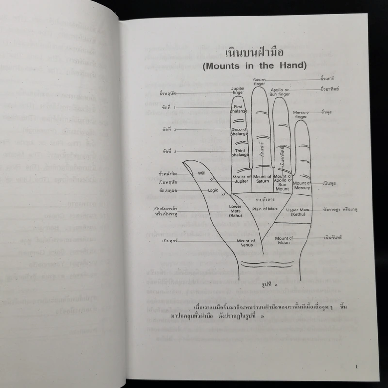 ลายมือ ลายแทงชีวิต - ดร.สุรพล ธีรรัตนพันธุ์ รูปที่ 11