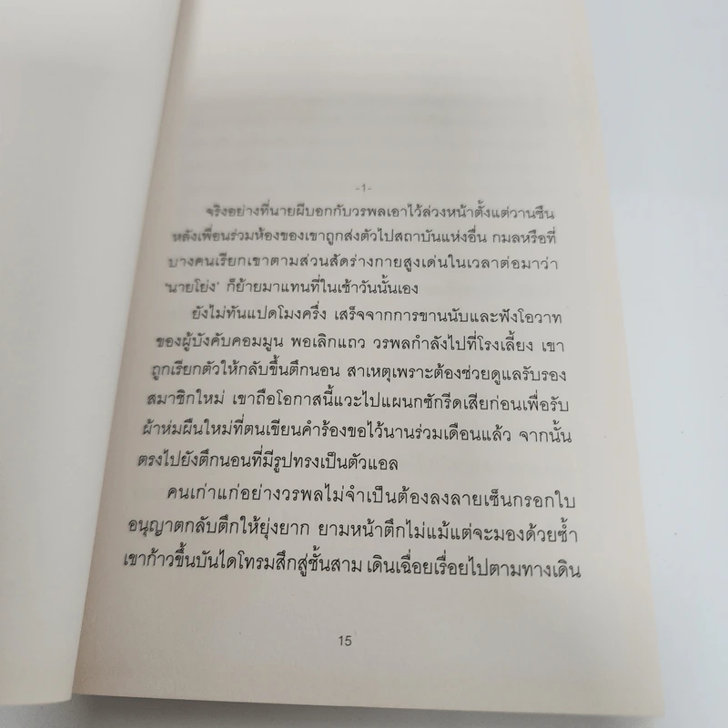 อนุสาวรีย์ - วิภาส ศรีทอง รูปที่ 15