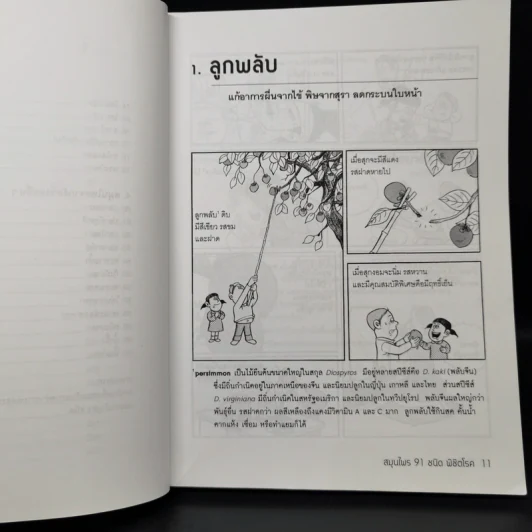 สมุนไพร 91 ชนิด พิชิตโรค - Jung Hyung Ki รูปที่ 11