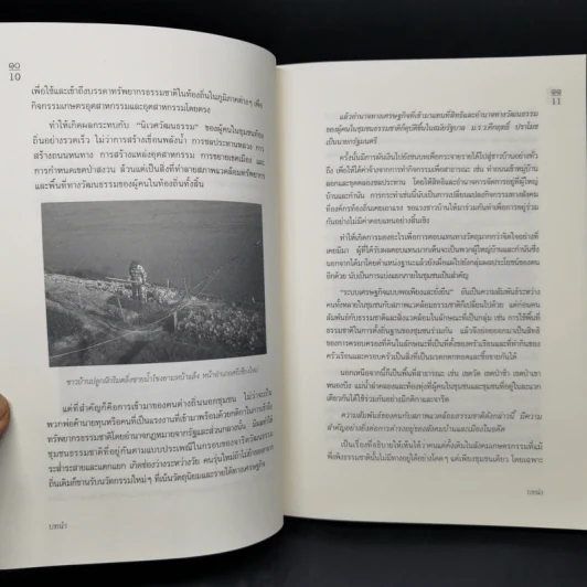 นิเวศวัฒนธรรมในความเปลี่ยนแปลง - วลัยลักษณ์ ทรงศิริ รูปที่ 11