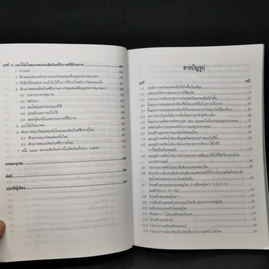 การใช้ประโยชน์จากวัสดุเศษเหลือทางอุตสาหกรรมเกษตร - ศาสตราจารย์ ดร.พูนสุข ประเสริฐสรรพ์ รูปที่ 13
