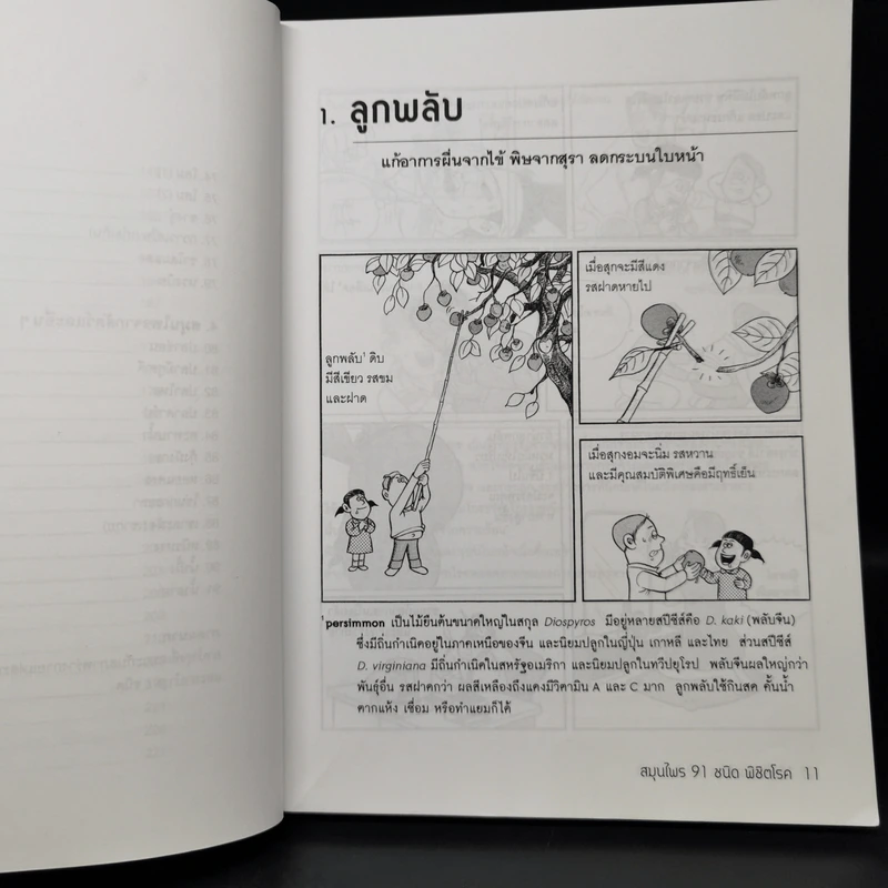 สมุนไพร 91 ชนิด พิชิตโรค - Jung Hyung Ki รูปที่ 11