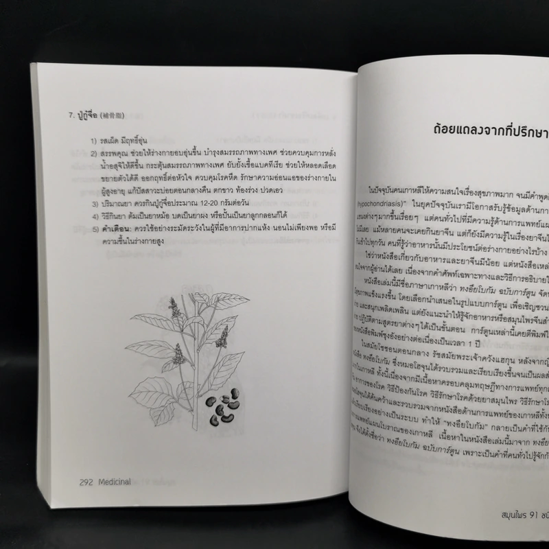 สมุนไพร 91 ชนิด พิชิตโรค - Jung Hyung Ki รูปที่ 13