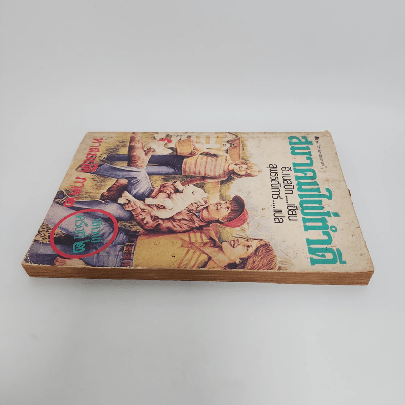สมาคมใฝ่ทำดี ภาค 2 - อี.เนสบิท, สุพรรณิการ์ รูปที่ 3