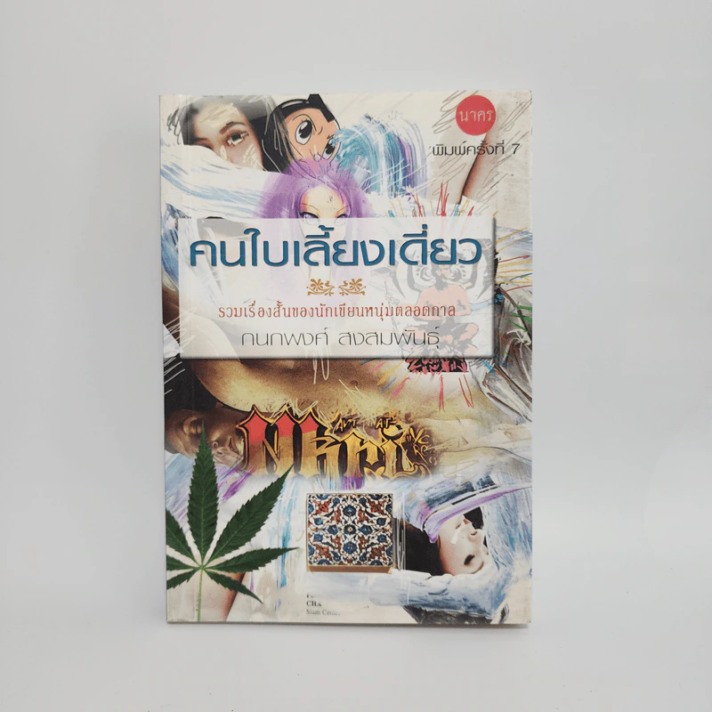 คนใบเลี้ยงเดี่ยว - กนกพงศ์ สงสมพันธุ์ รูปที่ 1