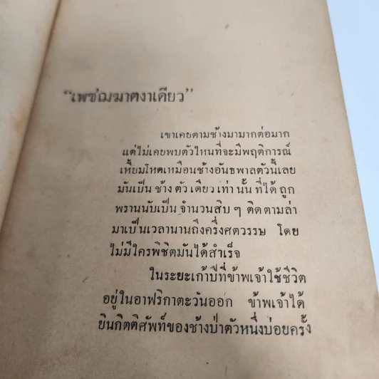 เพชฌฆาตงาเดียว - Alden G. Stevens, ชาลี เอี่ยมกระสินธุ์ รูปที่ 10