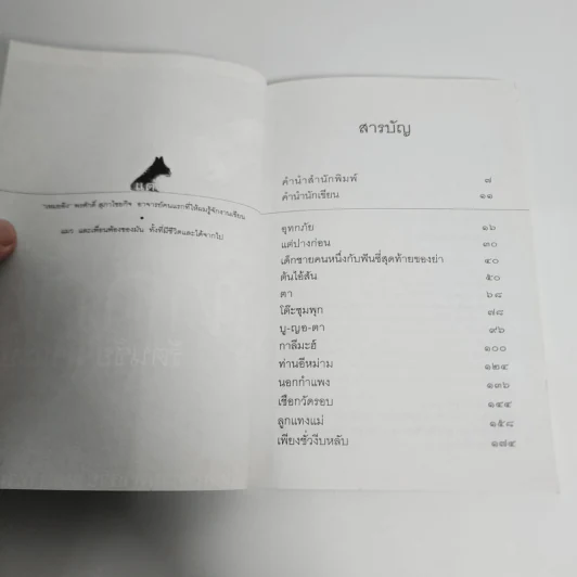 อุทกภัย - รัตนชัย มานะบุตร รูปที่ 9